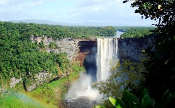 Никому не известные криптиды Гайаны