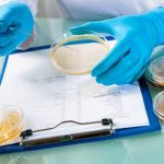 Հայտնաբերվել է «Ոսկեգույն ստաֆիլակոկ». հայտնի են Արմավիրի մարզի թունավորման լաբորատոր քննության արդյունքները