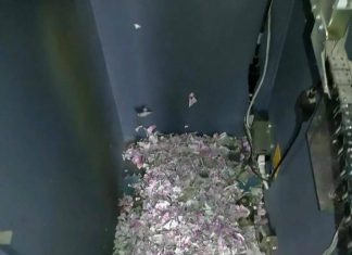 Առնետը մտել է բանկոմատի մեջ և 42,000 դոլարին համարժեք թղթադրամ կերել