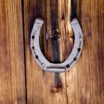 Интересные факты о подкове