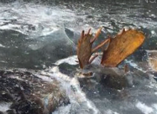 5 ШОКИРУЮЩИХ НАХОДОК ВО ЛЬДУ