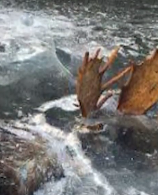 5 ШОКИРУЮЩИХ НАХОДОК ВО ЛЬДУ