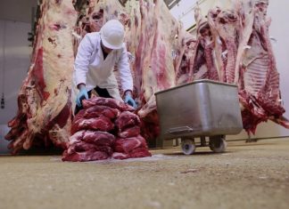 Кофе убивает ваше сердце, а бекон вреднее сигарет? Разоблачение мифов о еде