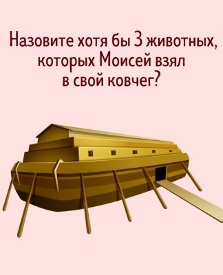 12 загадок, которые используют на курсах по развитию логического мышления