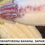 Съел банан — и заразился ВИЧ! Что это — новый вид терроризма?
