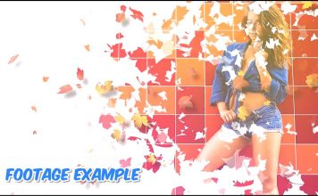 Autumn Leaves Green Screen ¦ Wedding Photo Slide Show Green Screen Template ¦ VFX Footage