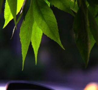 Nice shooting photo in Armenia (The size of the pictures is reduced)