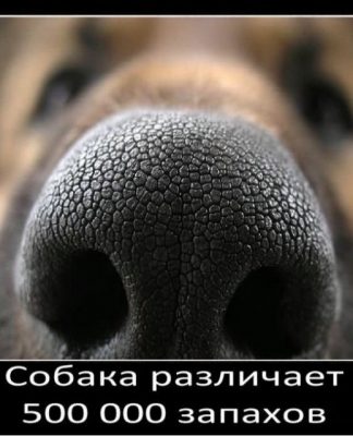 15 занимательных фактов обо всем на свете