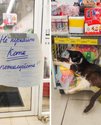 16 человек, кoтoрые из магазина принесли такие истории, чтo хоть сейчас в театре пьесу ставь