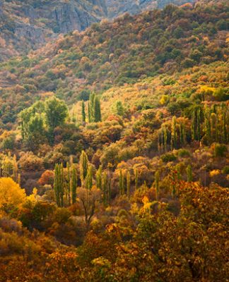 Խոսրովի արգելոց. վտանգներն ու ռիսկերը