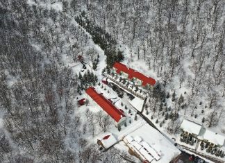 Ծաղկաձորյան ԱԼՎԱՆ իր եզակիությամբ