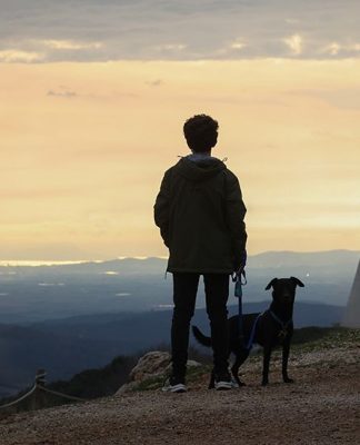 Which countries are doing the most to tackle energy bills?