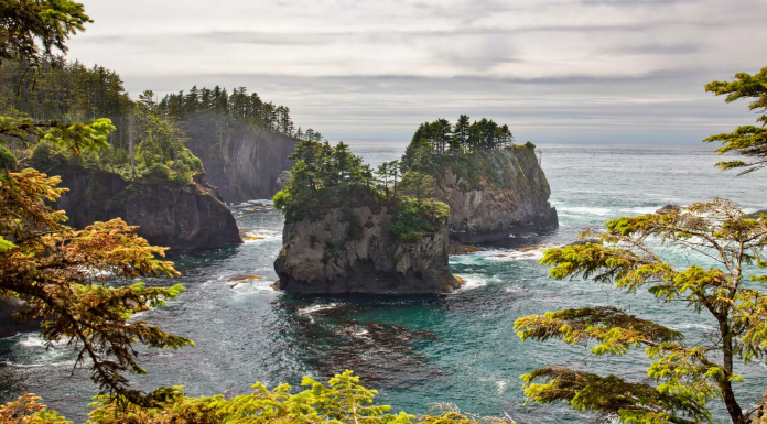 In 1970, a violent storm uncovered a Makah village that was buried by a mudslide more than 300 years earlier. A newly re-opened museum tells the fascinating story of the ancient site.