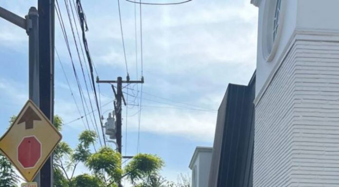 Սիրուշոն ջերմ լուսանկարներ է հրապարակել