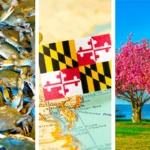 16 փաստ աշխարհի մասին