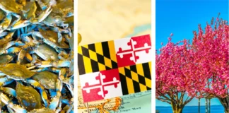 16 փաստ աշխարհի մասին