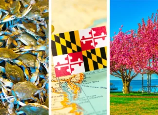 16 փաստ աշխարհի մասին