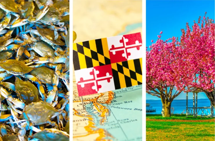 16 փաստ աշխարհի մասին